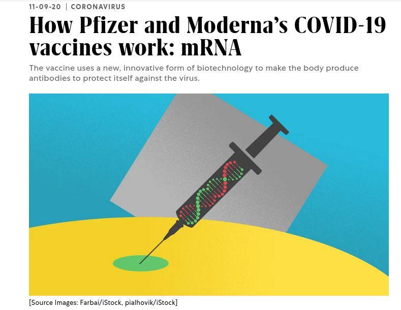 How Pfizer and Moderna’s COVID-19 vaccines work: mRNA