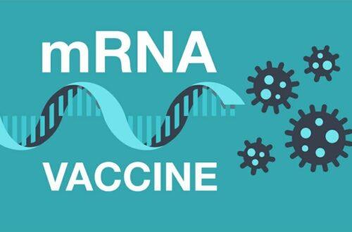 mrna vaccine g 1314333574 2793613172