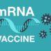 mrna vaccine g 1314333574 2793613172