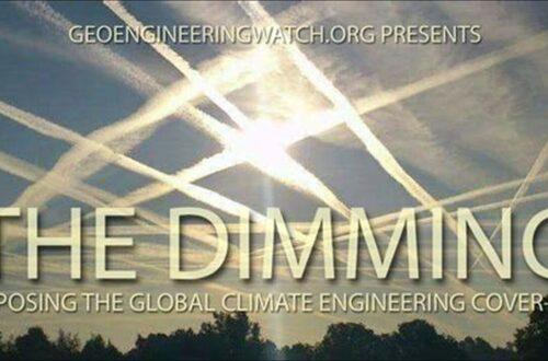 8onai.qr4e small the dimming documentary 1203763033